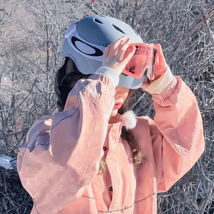 刘少奇的四十四天